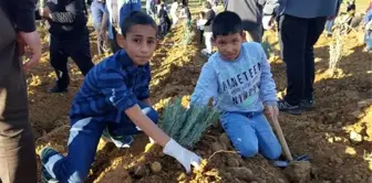 Bilecik'e lavanta bahçesi oluşturuldu