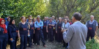 Büyükşehir Belediyesinden üreticiye uygulamalı tarım eğitimi