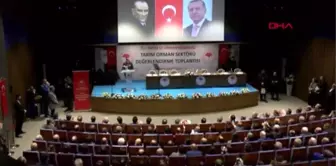 Pakdemirli üretim potansiyeli yüksek ovalarımızı, 'tarımsal sit' alanı ilan ettik