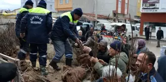 Çifteler'de 20 bin ceviz fidanı dağıtıldı