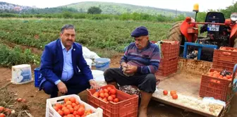 Baştuğ'dan sahte ve taklit zirai ilaç uyarısı