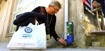 100 yaş evi sakinlerinden sokak hayvanları için örnek davranış