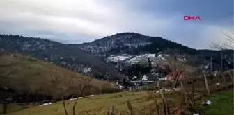 Ordu fındıkta zirai dona karşı kireçli önlem