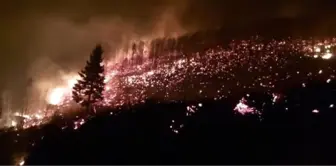 Trabzon'un Arsin ilçesinde orman yangını