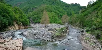 Ordu'daki Bolaman Havzası ıslah edilecek