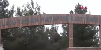 Osmaniye yaban hayatı, hayvan tahnitleri ile tanıtılıyor