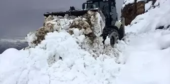 Kulp'ta kardan kapanan 10 mahallenin yolu ulaşıma açıldı.