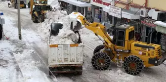 Kar yığınları kamyonlarla şehir dışına taşınıyor