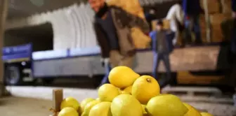 Limon ağacı bulunmayan beldeden yılda 4 milyon sandık limon pazara sürülüyor