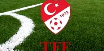 Avrupa İnsan Hakları Mahkemesi'nden TFF kararı