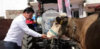 Bodrum'da alım garantili üretim için ilk adım atıldı