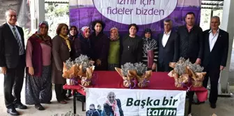 Büyükşehir 5 bin lavanta fidesi dağıttı