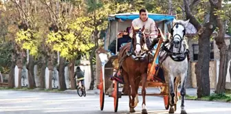 Adalar'da faytonların yerine kullanılacak elektrikli araçlar satın alındı! İşte görüntüleri