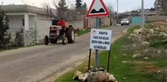 Kadını ısıran köpek telef oldu, tüm mahalle karantinaya alındı