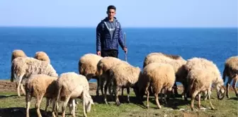 Çobanlık yapan genç, eğitim almadan başladığı dalga sörfünde Türkiye üçüncüsü oldu