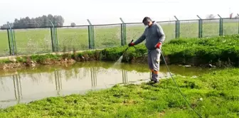 Tarsus'ta kamuya açık alanlar ve okullarda ilaçlama çalışmaları