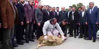 Ulaştırma ve Altyapı Bakanı Turhan Samsun'da incelemelerde bulundu