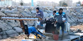 Beyşehir'de sinek ve haşere mücadelesi hız kazandı