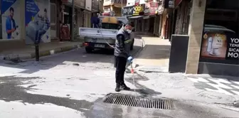 Söke Belediyesi larva ve sivrisinek mücadelesini yoğunlaştırdı