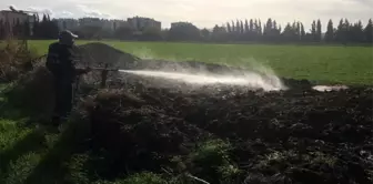 Burhaniye'de sivrisinek mücadelesi devam ediyor