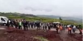 Yarbaşı Belediyesi öğrencilere burs vermek amacıyla zeytin fidesi dikti