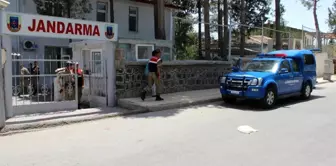 Amca yeğenin arazi kavgasında kan döküldü