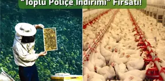 Arı yetiştiricileri ve kanatlı hayvan üreticilerine 'toplu poliçe indirimi' fırsatı