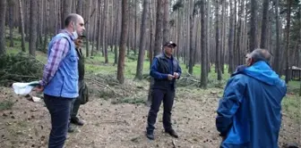 Erzurum Bölge Müdürü Ayatay, Ardahan Orman İşletme Müdürlüğünde incelemelerde bulundu