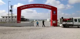 Çubuk canlı hayvan pazarında dezenfeksiyon çalışması yapıldı