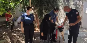 Kurbanlık parasını kaybeden Rahme Nine'ye polisler kurbanlık koyun aldı