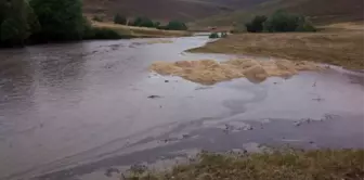 Malazgirt'te sel felaketi: 20 hayvan telef oldu, 30 hayvan kayıp