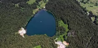 Son dakika haberleri... Doğa harikası Karagöl ziyaretçilerini ağırlıyor