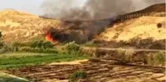 Laodikya'ya sıçrayan anız yangınında 40 dekar alan zarar gördü