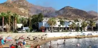 Bodrum'daki yangın 4 saatte kontrol altına alındı, 50 hektarlık alan kül oldu