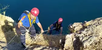 Uçurumda mahsur kalan keçiyi AFAD kurtardı