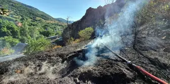 Gümüşhane'de otlar tutuştu, çok sayıda bahçe küle döndü