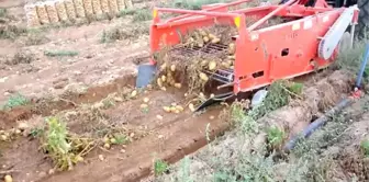 'Patates hasadı tarla günü' etkinliği düzenlendi