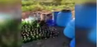 Bağ evinde 227 litre sahte içki ele geçirildi