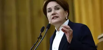 Meral Akşener'in A takımı belli oldu! MHP'den ihraç edilen Erhan Usta Başkanlık Divanı'na seçildi