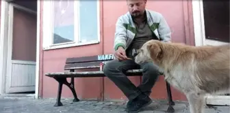 Köpeğe bisküvi uzatıp, 'Beni seviyorsan yersin' dedi