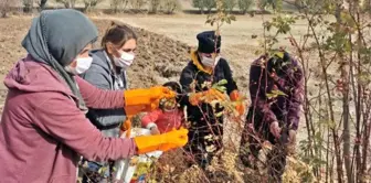 Kadınlar, köyde yaptıkları doğal ürünleri yurt dışına ihraç ediyor