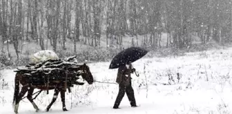 Tunceli'de kar ve tipi nedeniyle 25 köy yolu ulaşıma kapandı