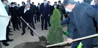 Öğrencisinin öldürdüğü akademisyen Ceren'in anısına hatıra ormanı