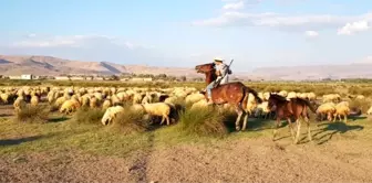 Orta Asya'da kurulan ilk Türk devletleri hangileridir? İlk Türk devletlerinin özellikleri nelerdir?