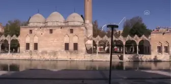 ŞANLIURFA - Polis ekipleri, balıkları yemledi