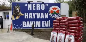 Öldürülen kurt köpeği Nero'nun adının verildiği hayvan bakımevi açıldı