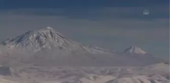 Güney Afrikalı Müslüman çift İshak Paşa Sarayı'na hayran kaldı