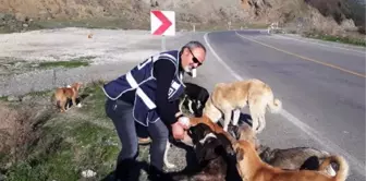 Son dakika haberi... Polisler, aç kalan hayvanları elleriyle besledi