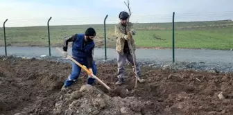 Keçiören Belediyesi 17 dönümlük meyve bahçesi kuruyor