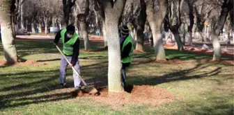 Gaziantep'te, belediye görevlileri kısıtlamada sokakları temizleyip, çiçek dikti